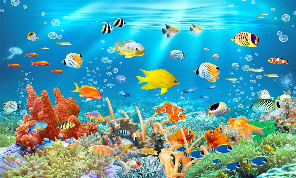 Papier peint diversité des poissons sous l'eau