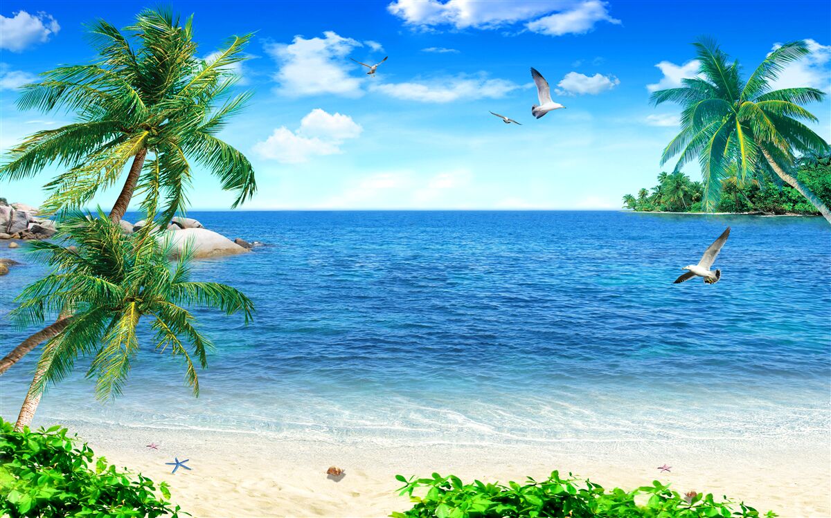 Papier peint océan calme et arbres tropicaux