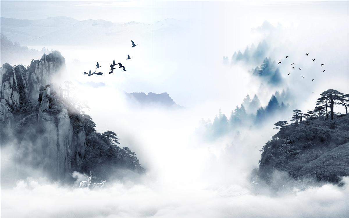 Papier peint par crainte du brouillard froid, les oiseaux prennent de la hauteur