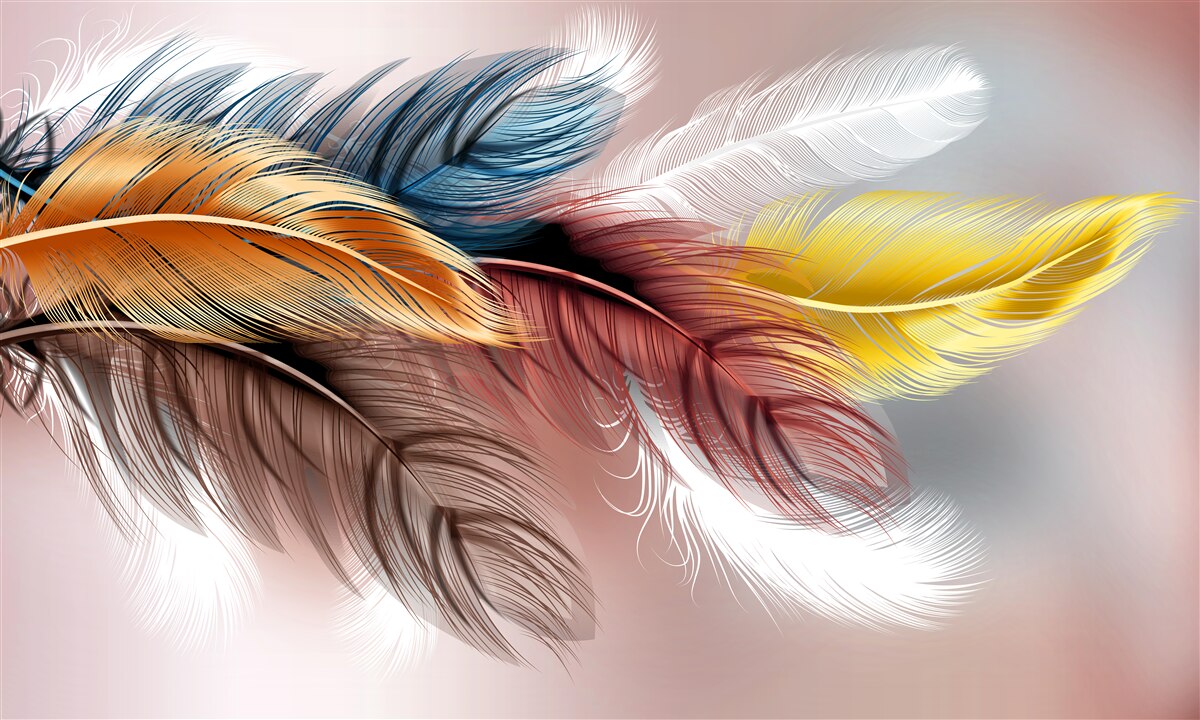 Papier peint plumage de différentes couleurs
