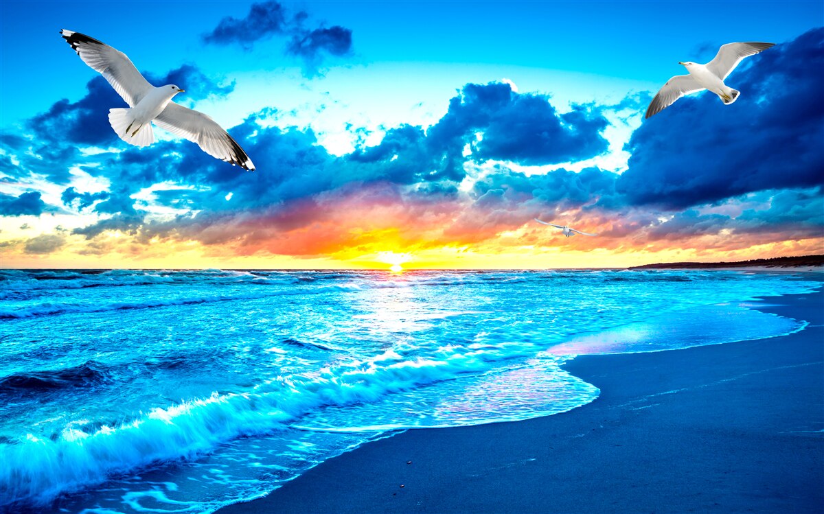 Papier peint coucher de soleil sur la mer et mouettes rêveuses