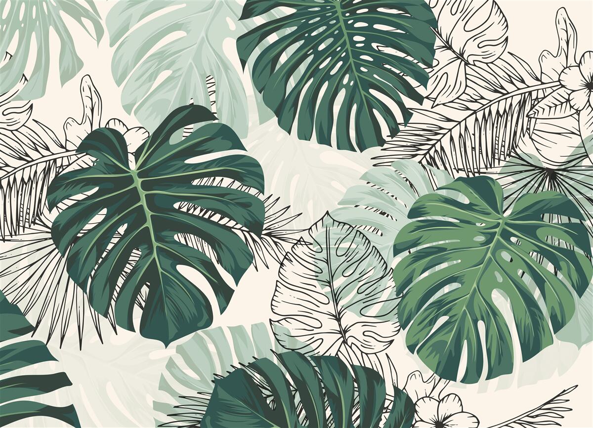 Papier peint Les feuilles de monstera texturées sont majestueuses
