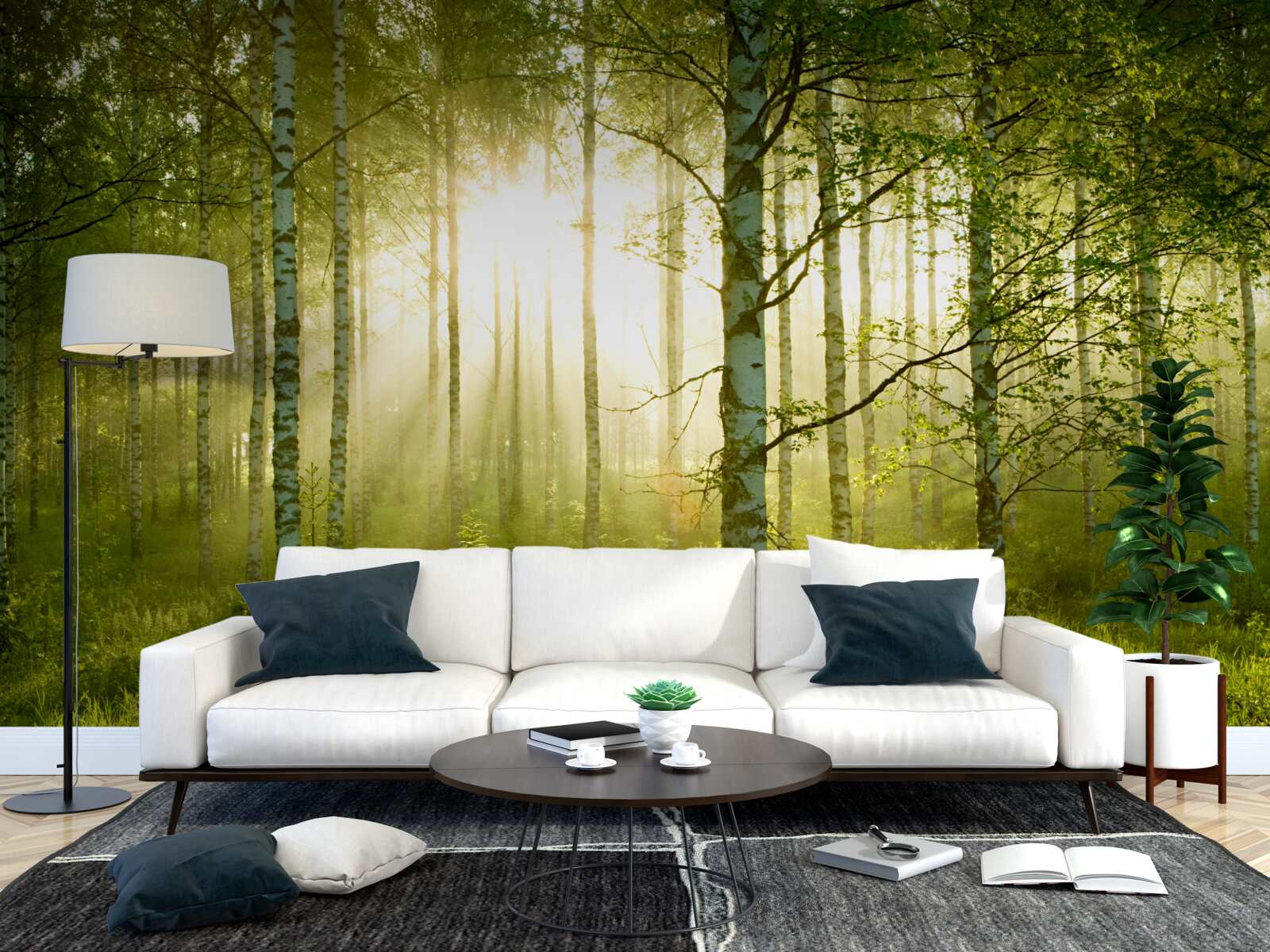 Papier peint Aube dans la forêt de bouleaux