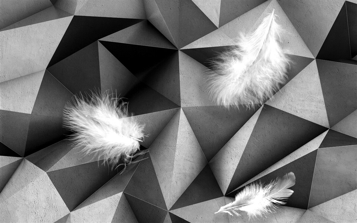 Papier peint plumes blanches et style cubiste