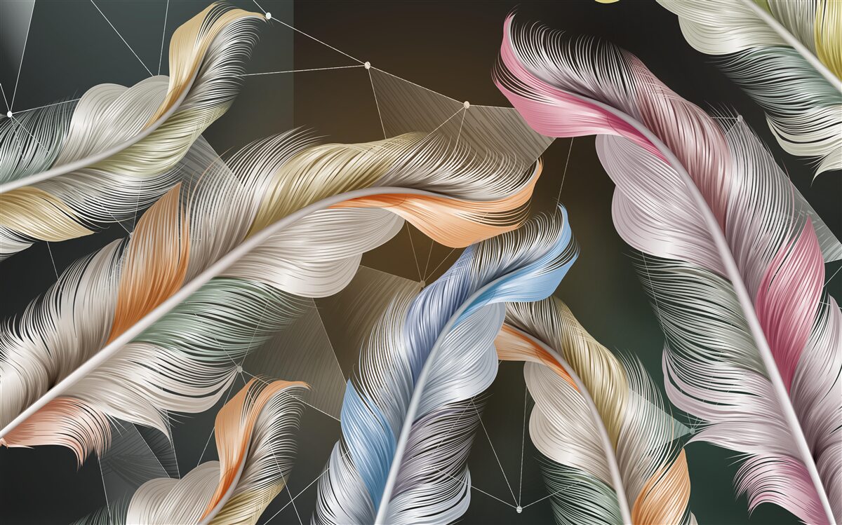 Papier peint plumes d'oiseaux de différentes teintes