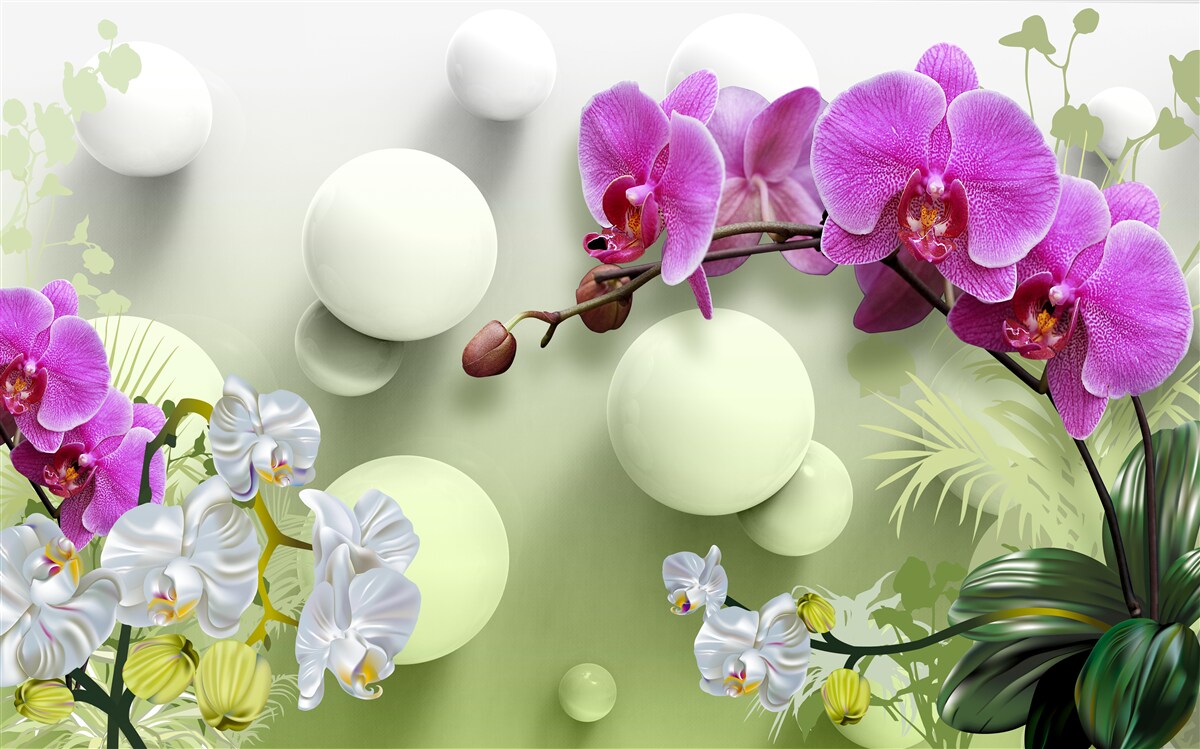 Papier peint des orchidées fascinantes à l'éclat fantaisiste