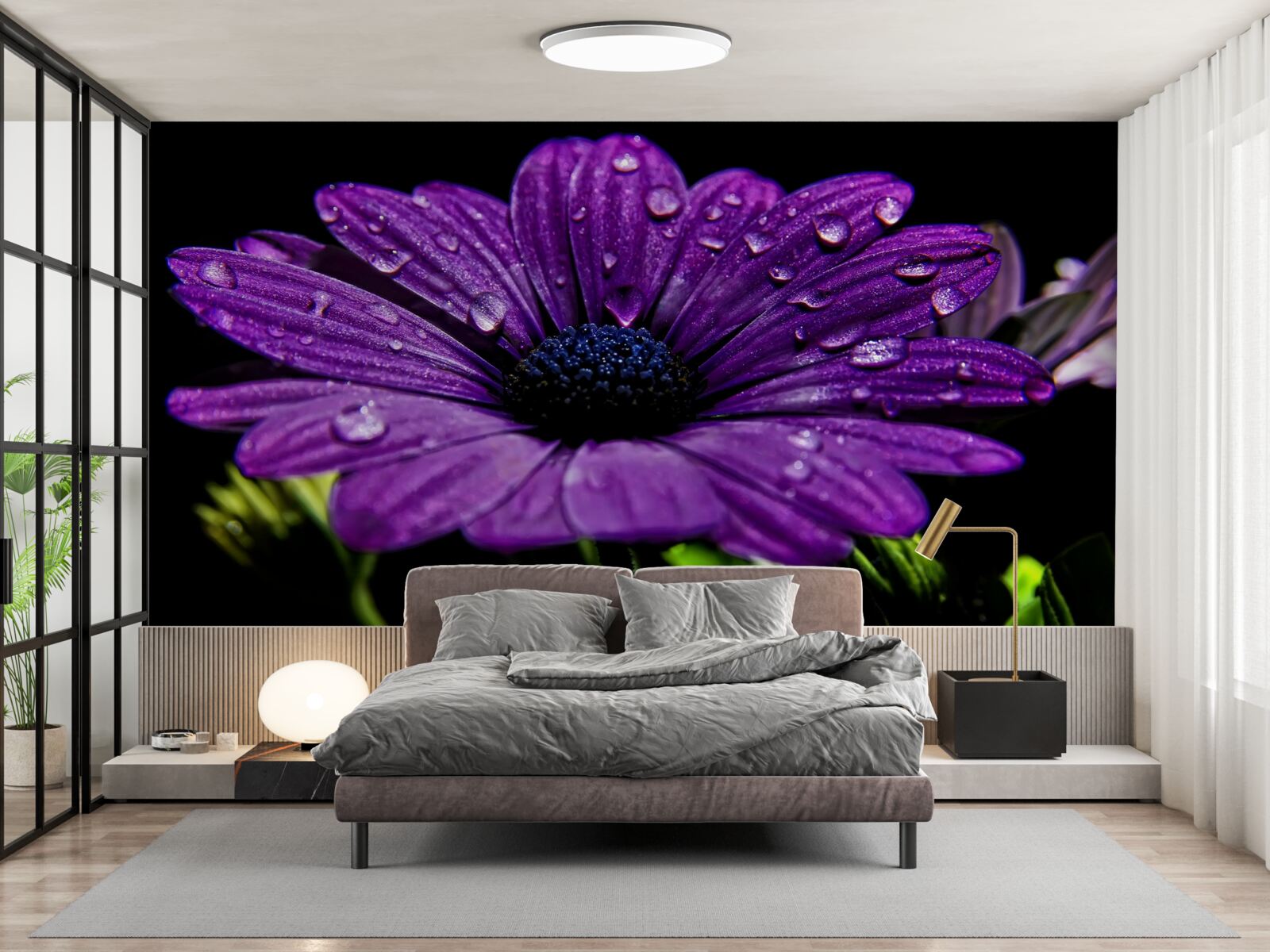 Papier peint gouttes d'eau sur une fleur de gerbera violette
