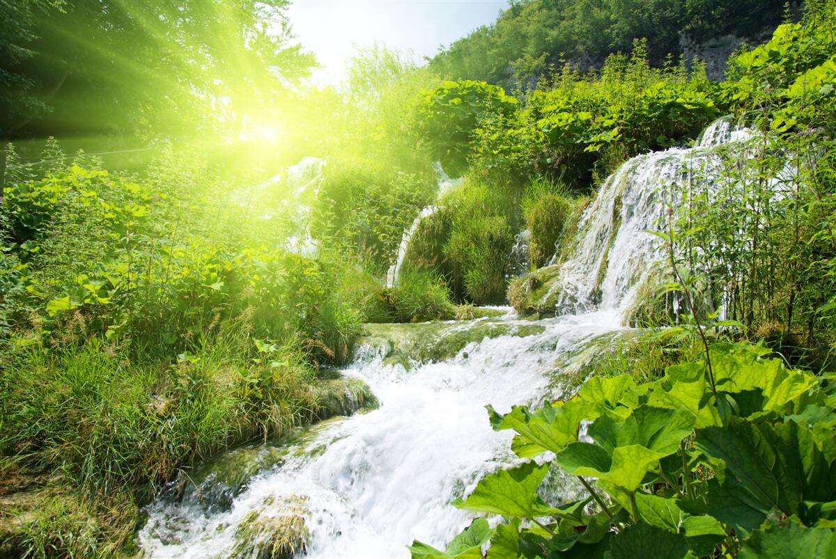 Papier peint une cascade mystérieuse dans une forêt de montagne