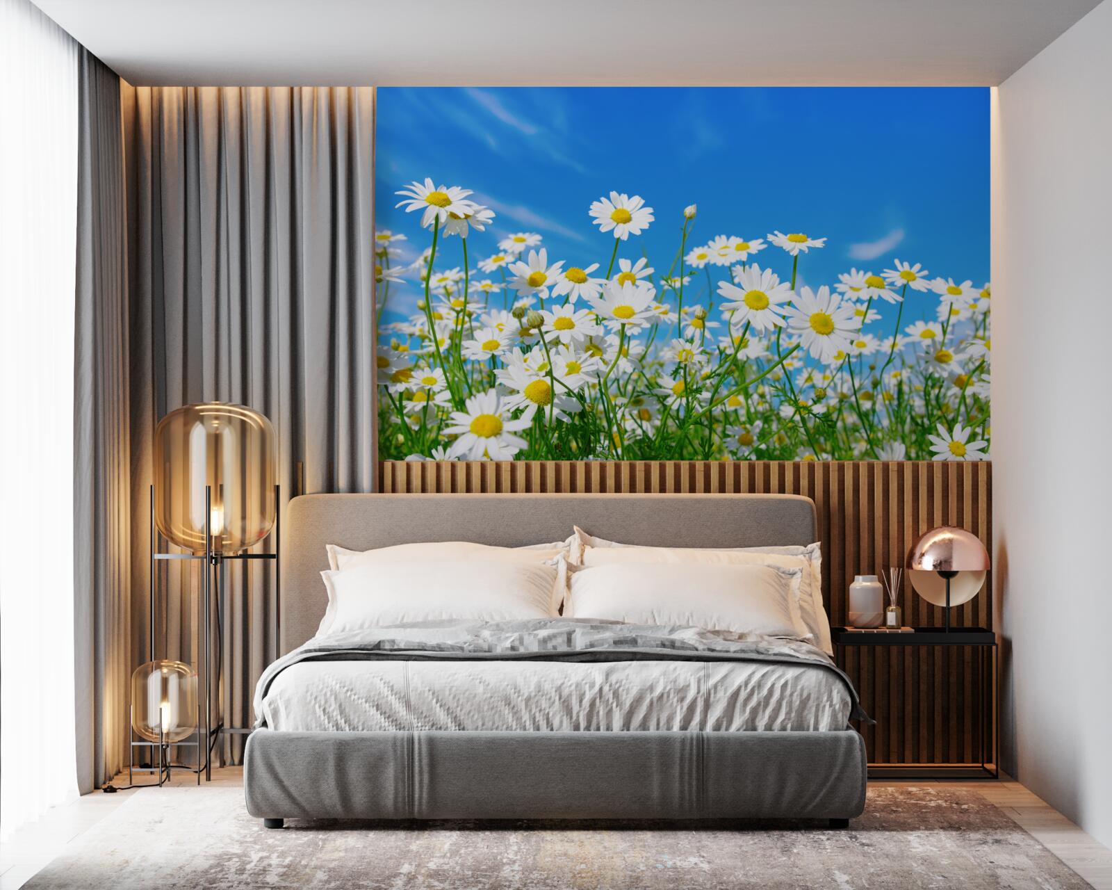Papier peint fleurs de camomille dans un champ sur fond de ciel bleu