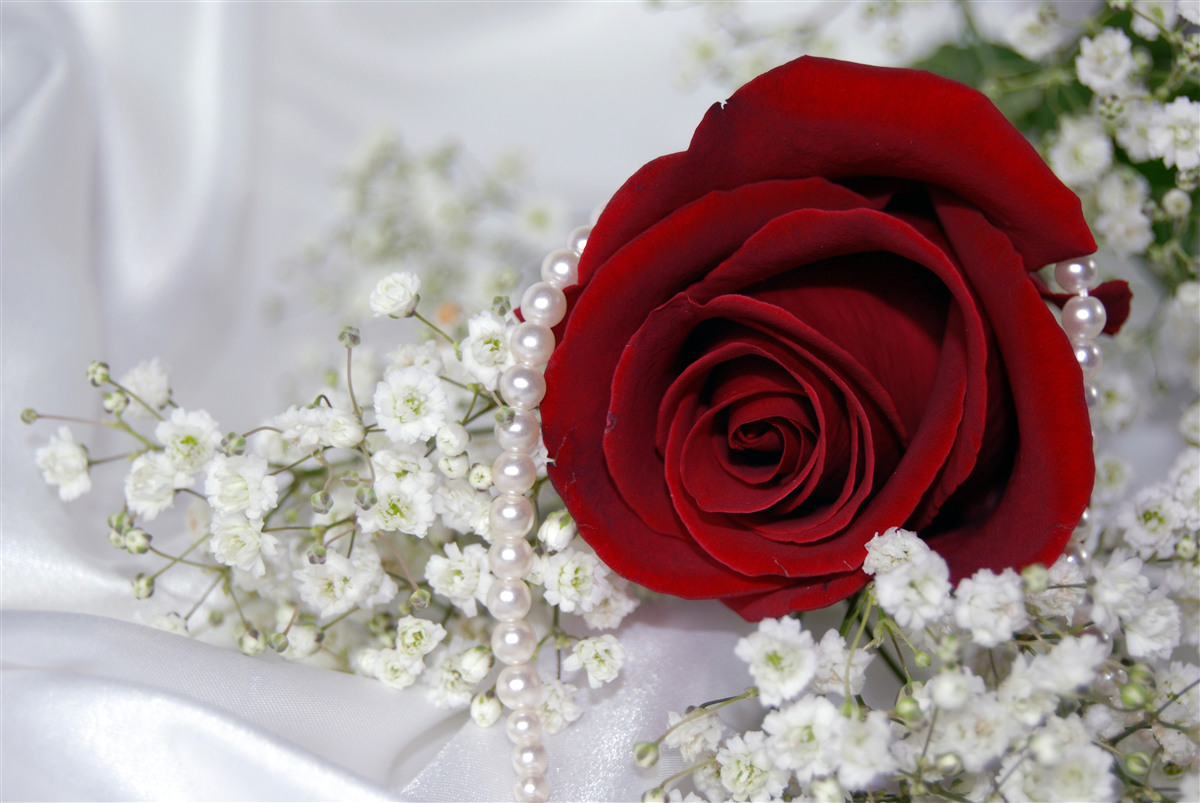 Papier peint sur soie, une marguerite est entourée d'une rose rouge