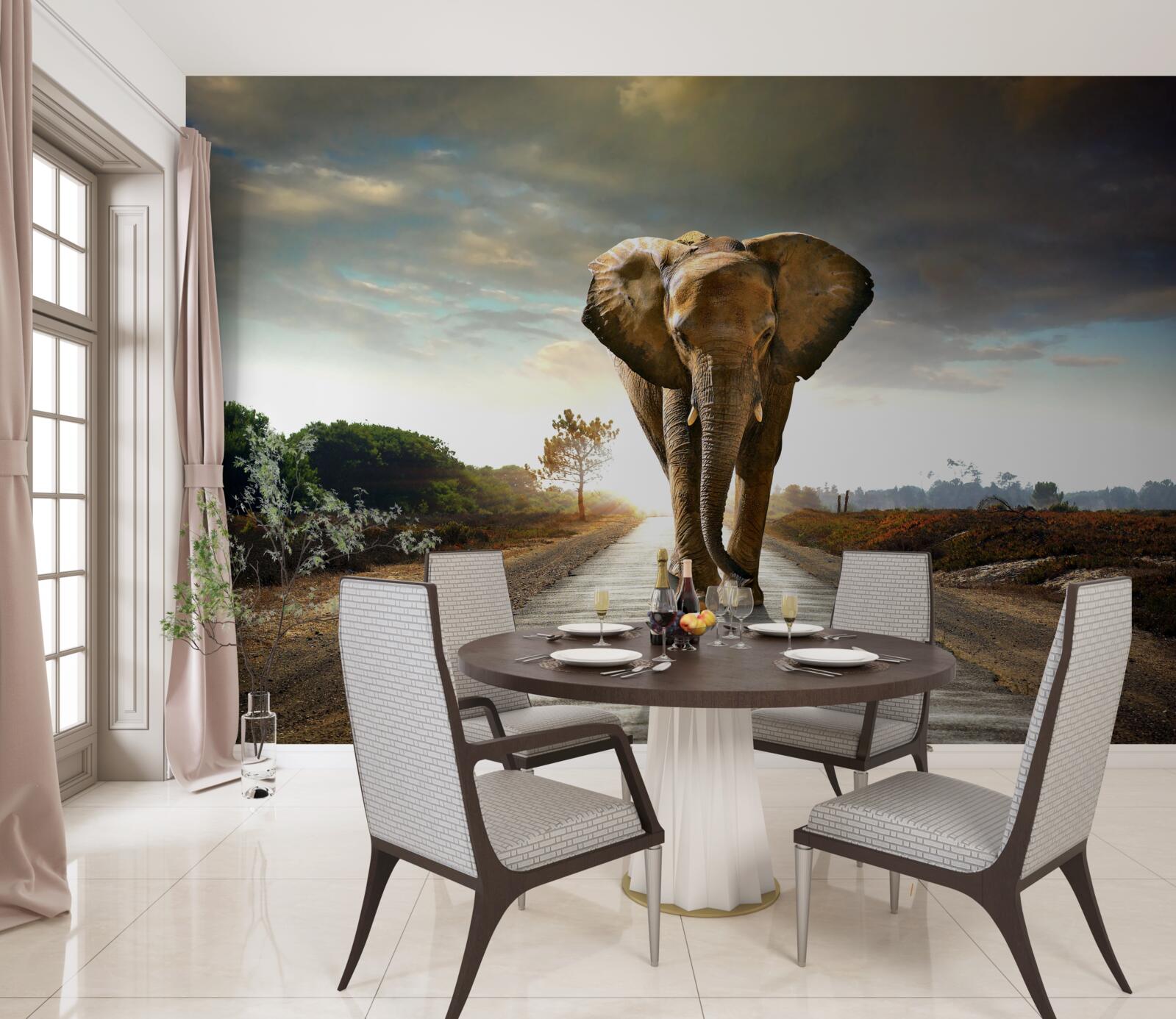 Papier peint le coucher de soleil rencontre les marches de l'elephant