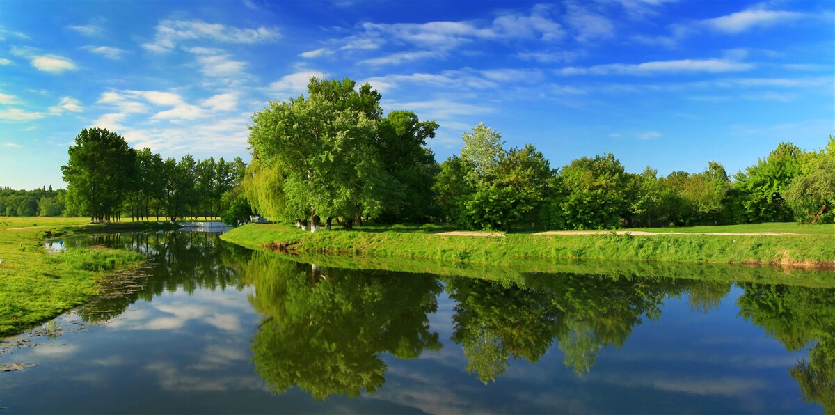 Papier peint la rivière est entourée d'arbres