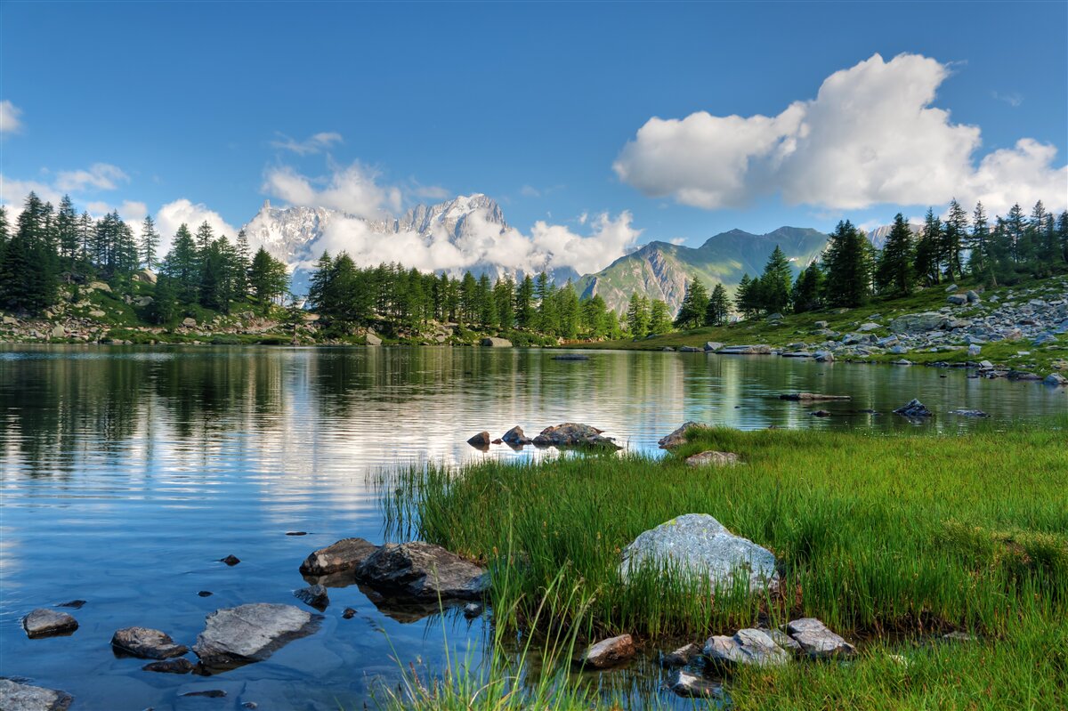 Papier peint un goût d'été d'une rivière de montagne paisible