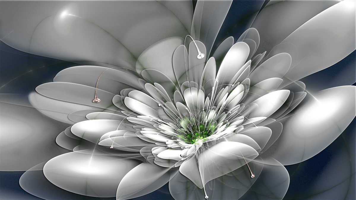 Papier peint grande fleur blanche