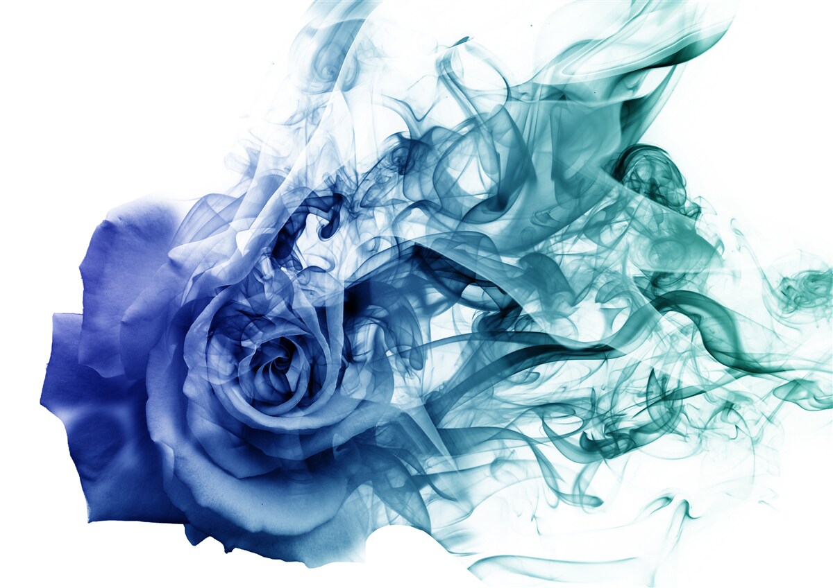 Papier peint rose bleue dans une brume de bleu céleste