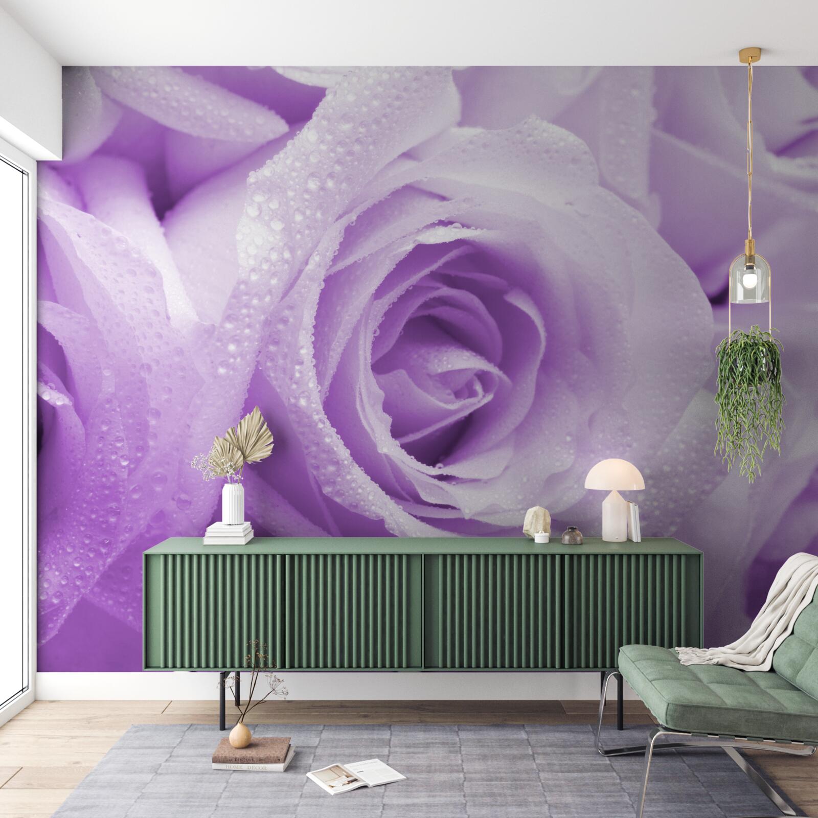 Papier peint bouquet de roses lilas délicates