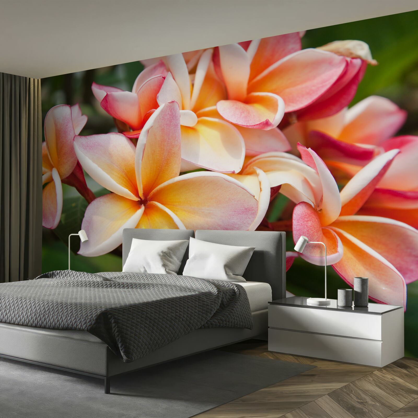 Papier peint frangipanier avec des fleurs attrayantes