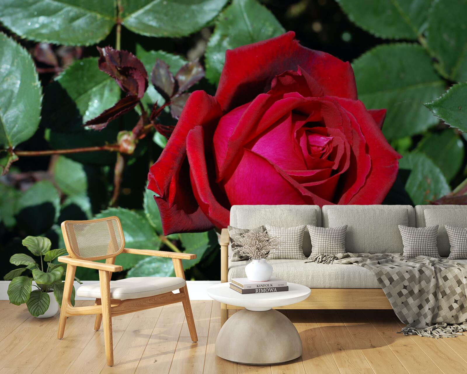 Papier peint une rose écarlate a fleuri dans le jardin