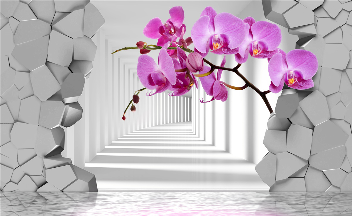 Papier peint l'orchidée pénètre le mur avec sa branche