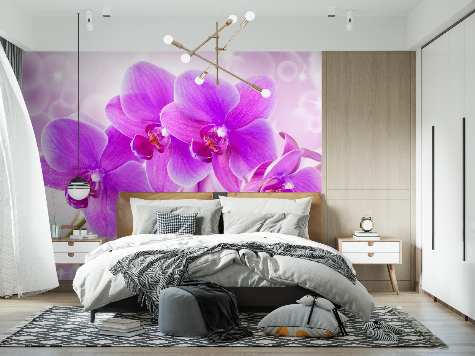 Papier peint l'orchidée violette délicate est vraiment impressionnante