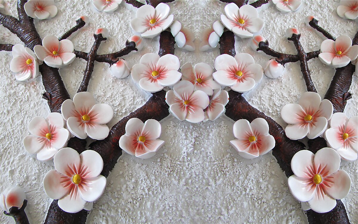 Papier peint sakura mouillé par une branche fleurie