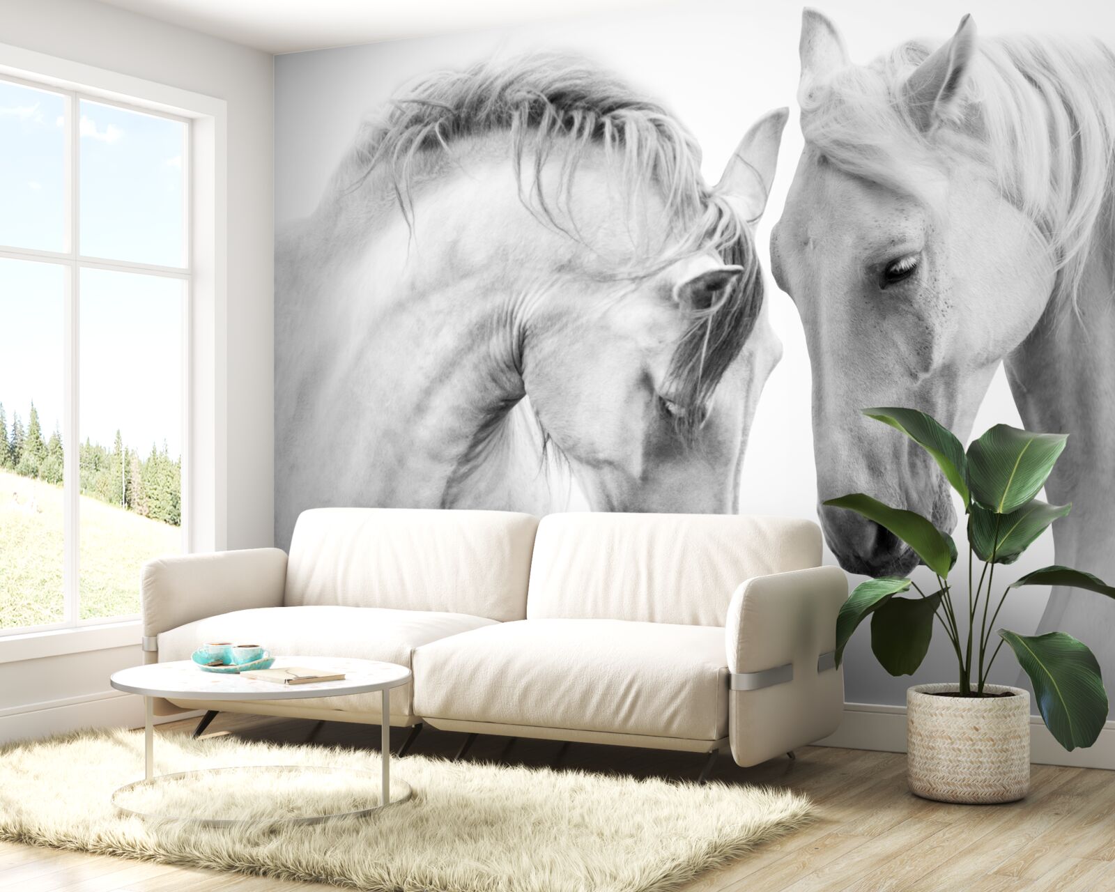 Papier peint les chevaux blancs communiquent