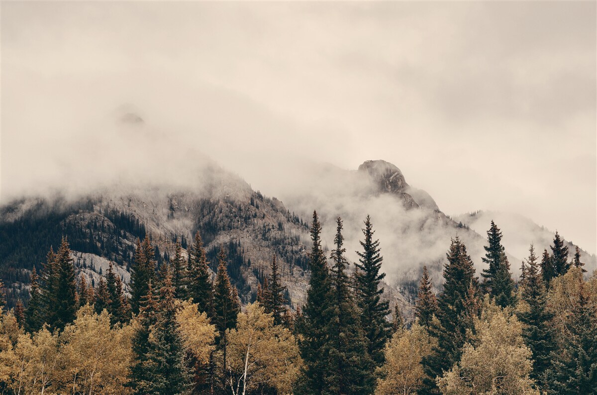 Papier peint les hautes montagnes sont couvertes de brouillard
