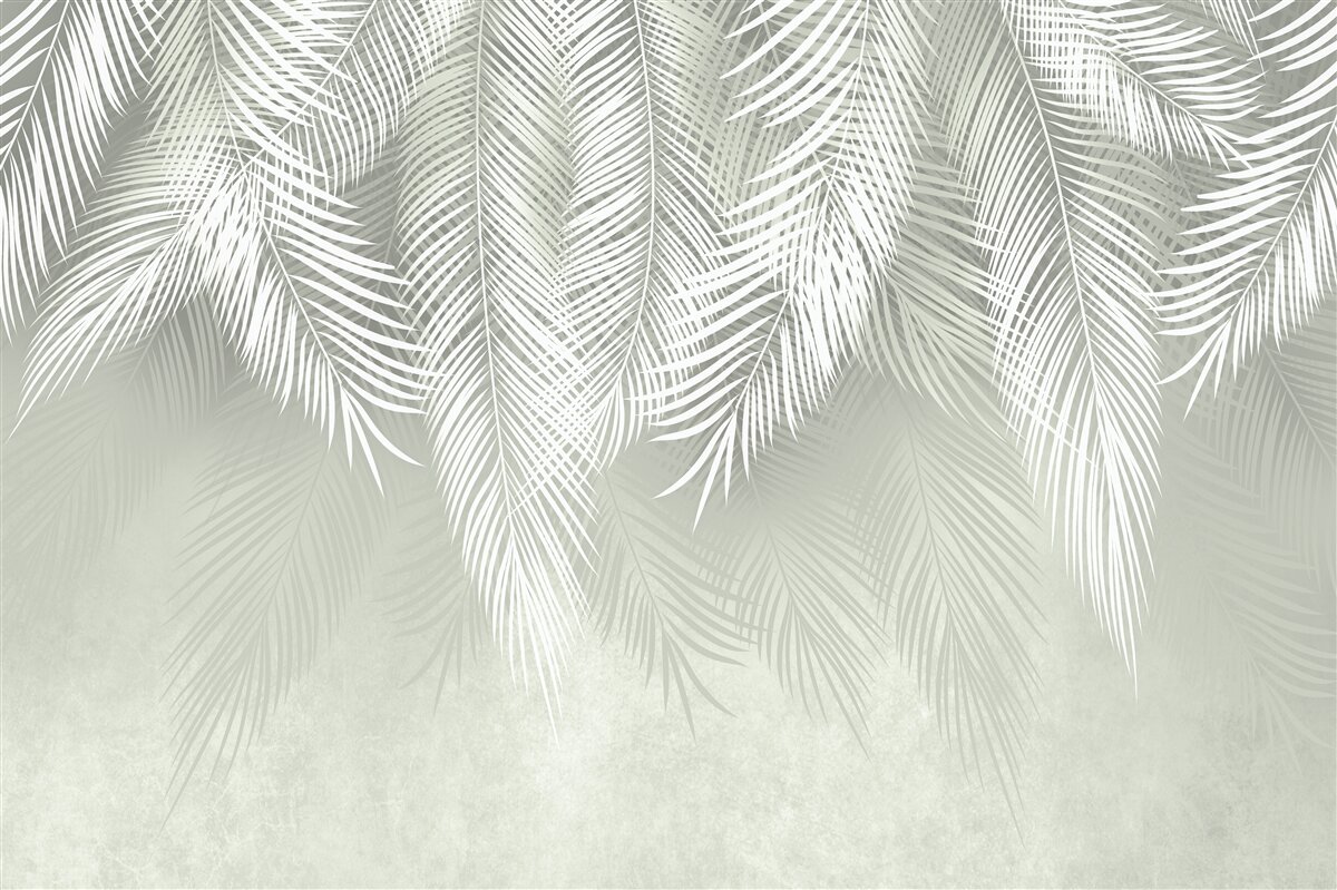 Papier peint feuilles de palmier blanches comme la neige, délicates et douces