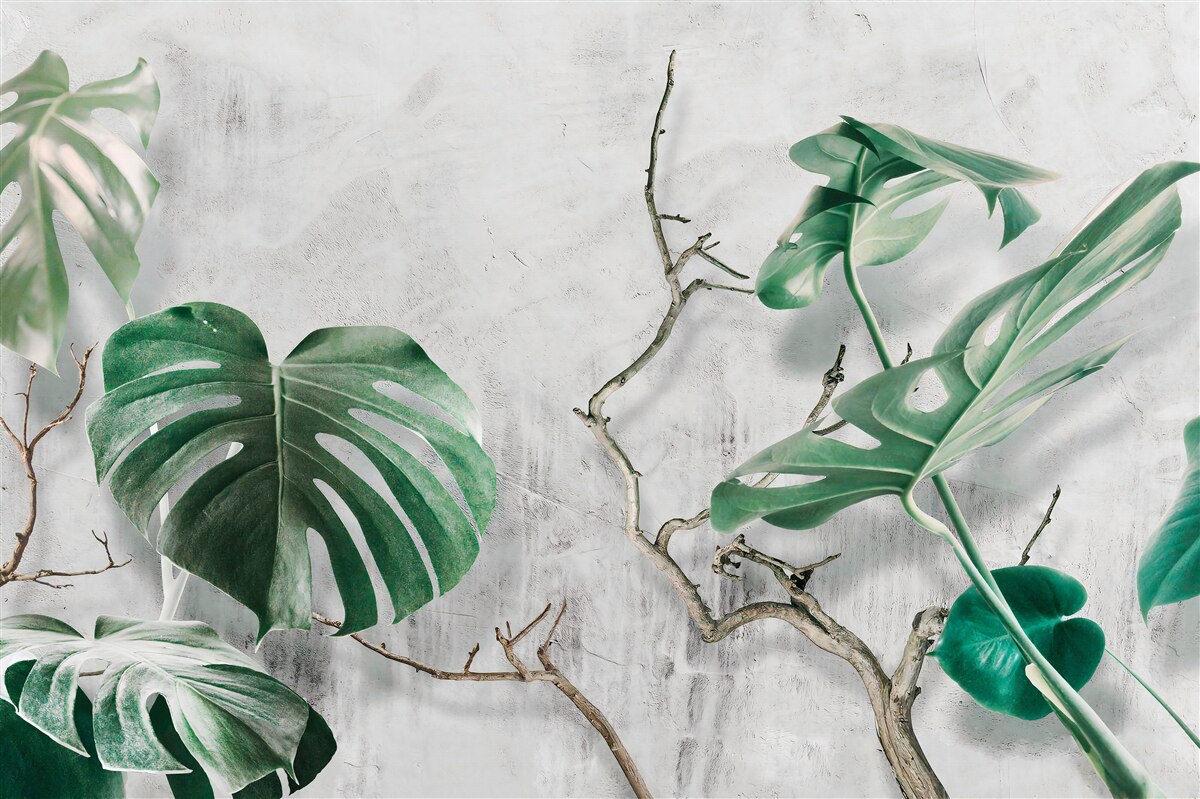 Papier peint monstres tropicaux avec branches vertes