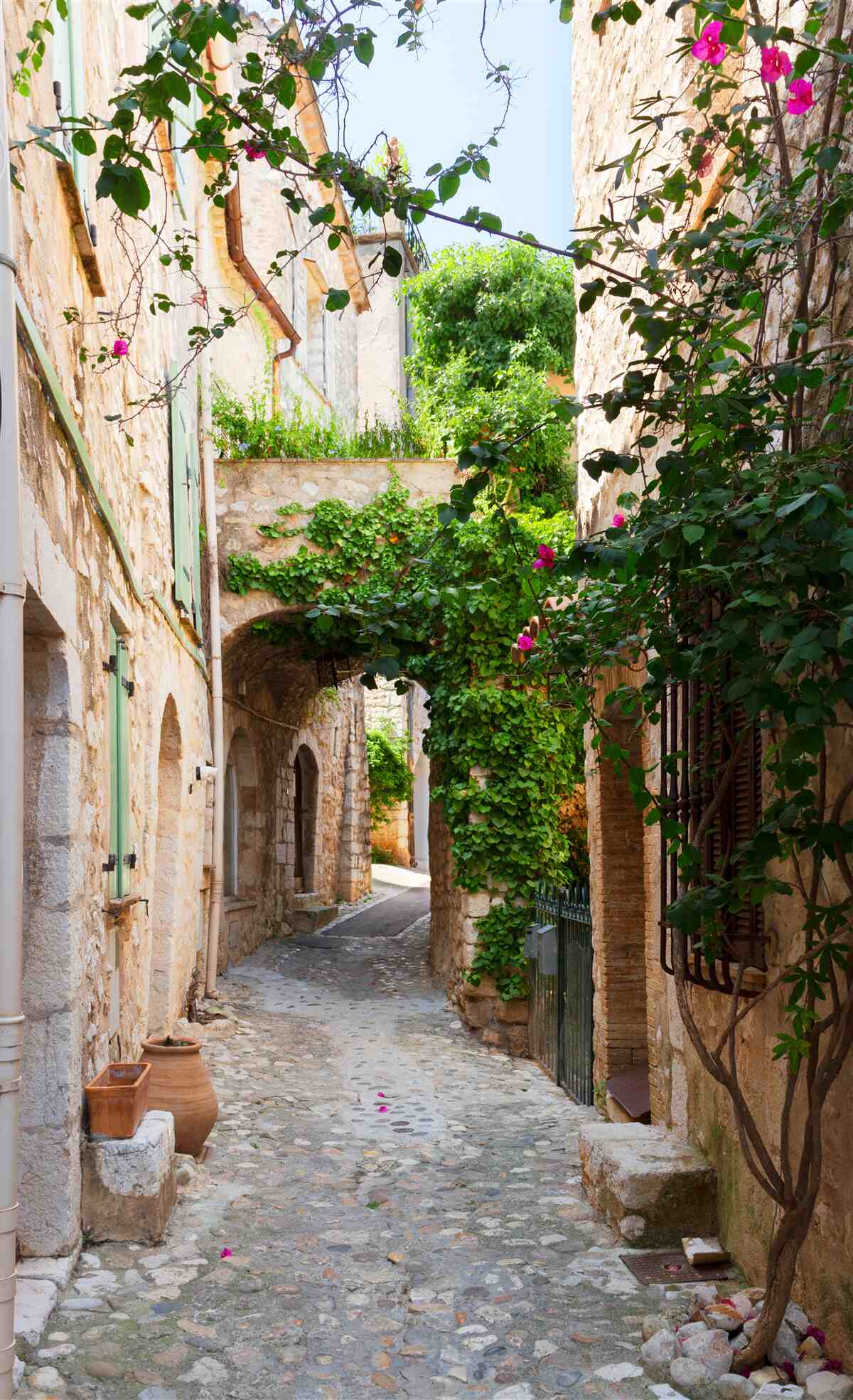Papier peint ancienne rue étroite décorée de plantes vivantes