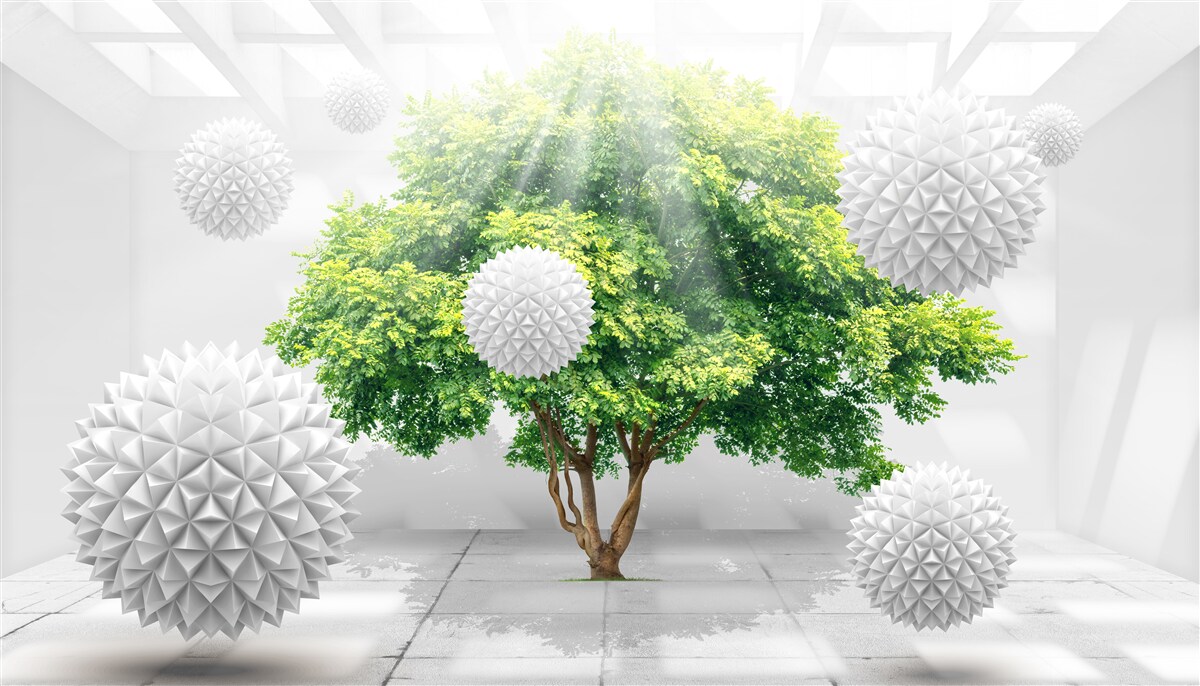Papier peint les rayons du soleil éclairent les boules blanches qui contrastent avec le vert de l'arbre