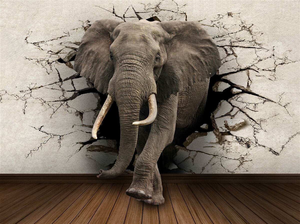 Papier peint l'éléphant fort détruit la barrière grise