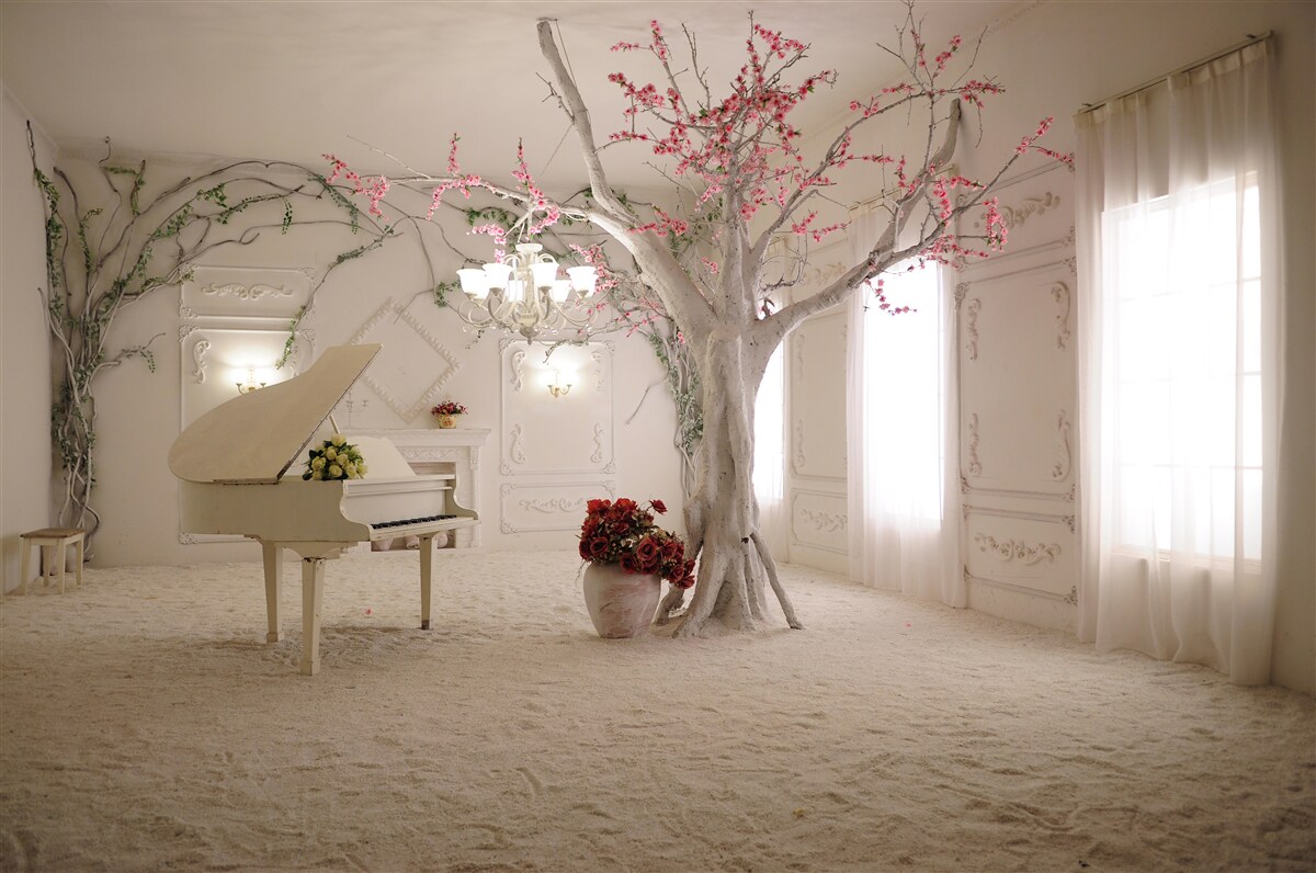 Papier peint au milieu de la pièce, il y a un piano et un arbre