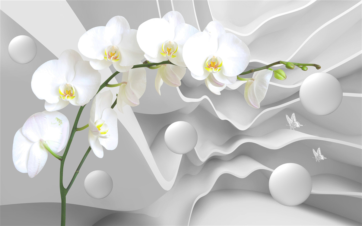 Papier peint fleur d'orchidée blanche sur une branche