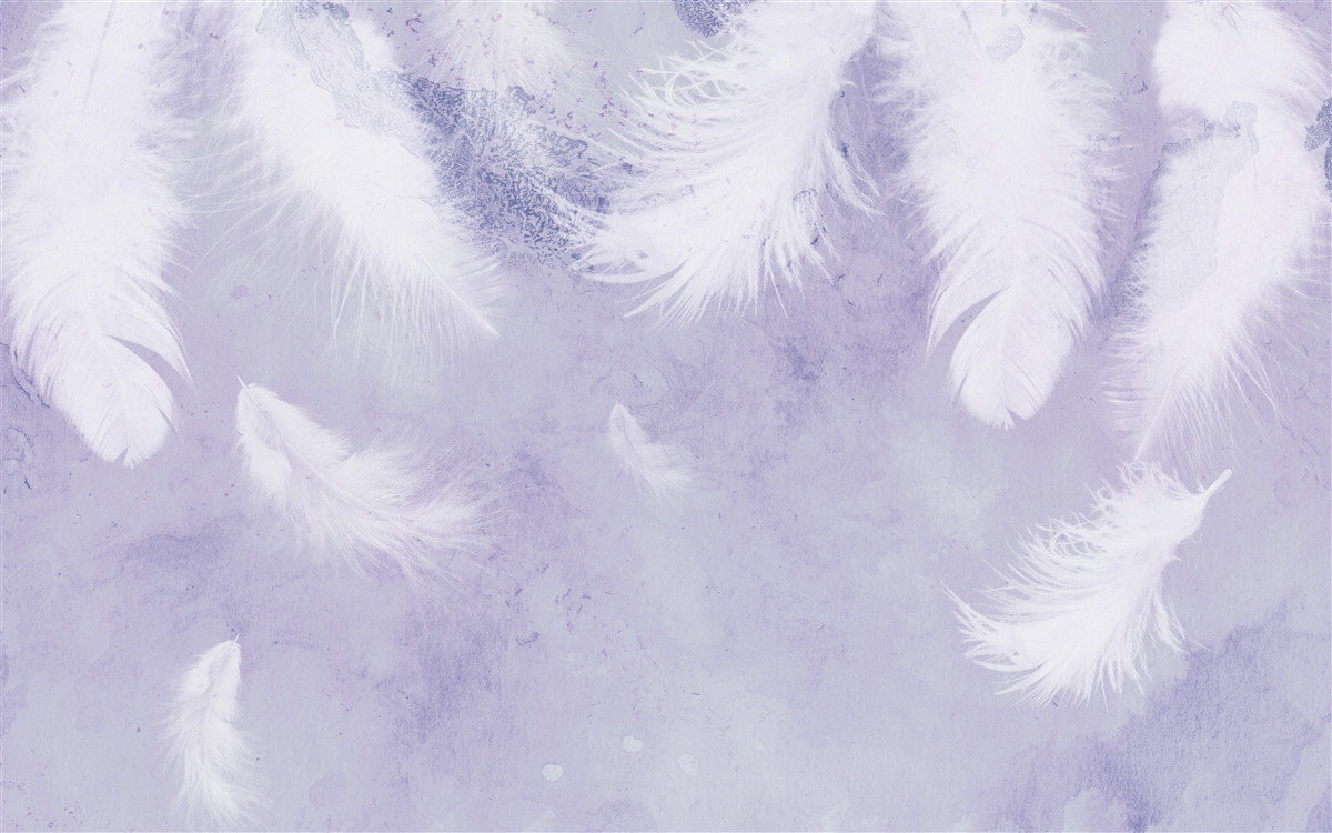 Papier peint plumes blanches flottantes