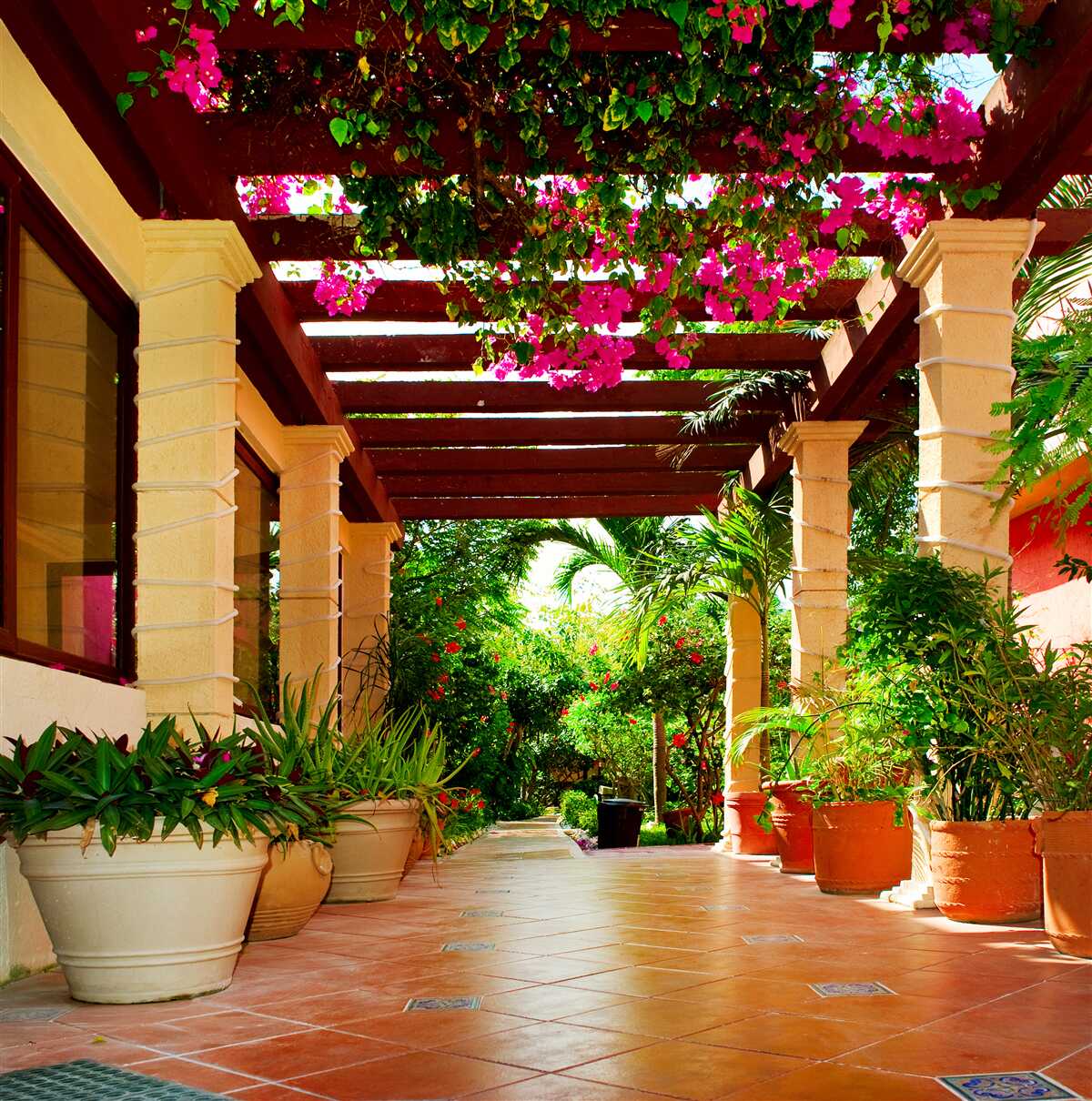 Papier peint terrasse près de la maison, décorée de plantes