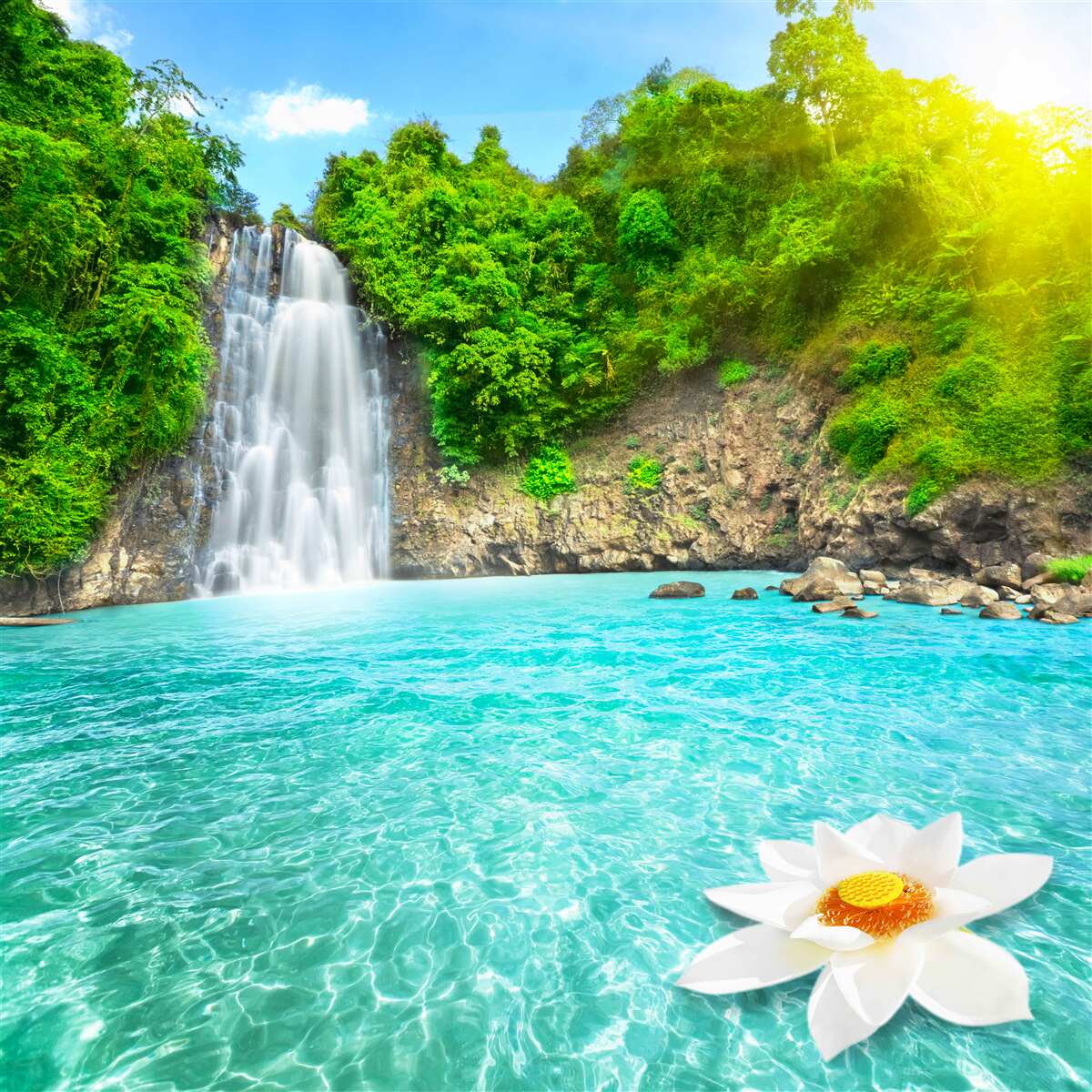 Papier peint les eaux de la cascade sont cristallines