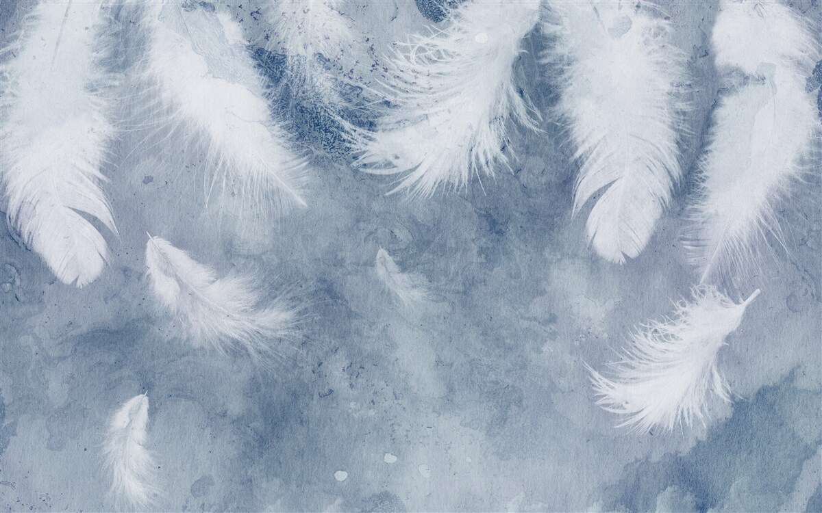 Papier peint plumes souples et lâches