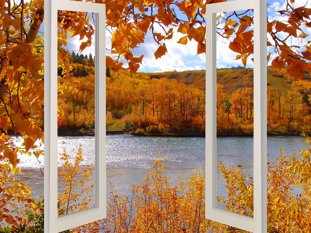Papier peint vue sur la forêt d'automne depuis la fenêtre
