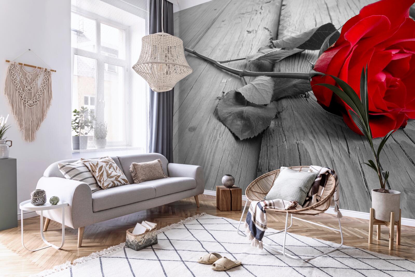 Papier peint une rose rouge s'épanouit sur un fond gris
