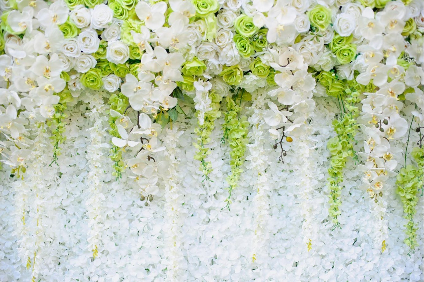 Papier peint diverses roses et branches d'orchidée blanche