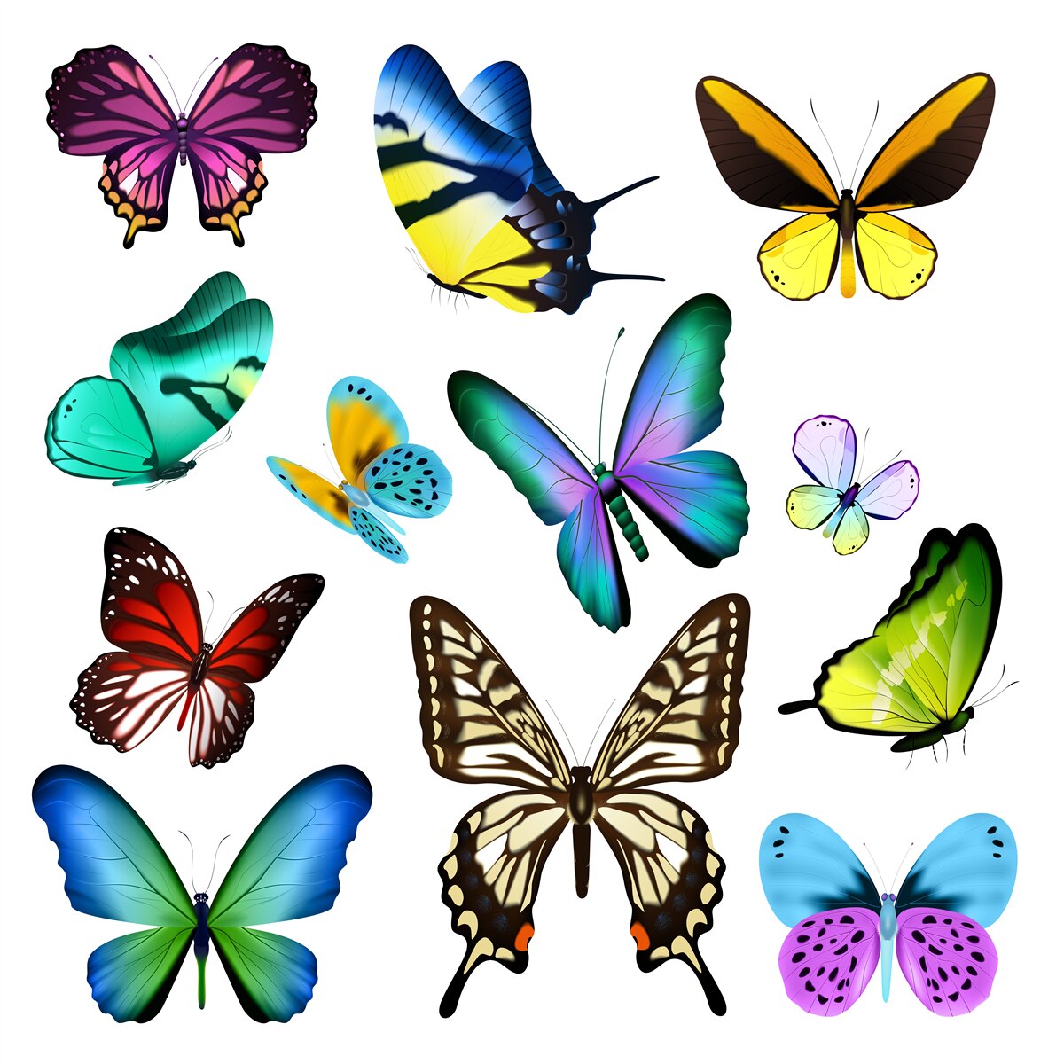 Papier peint des papillons d'une incroyable beauté