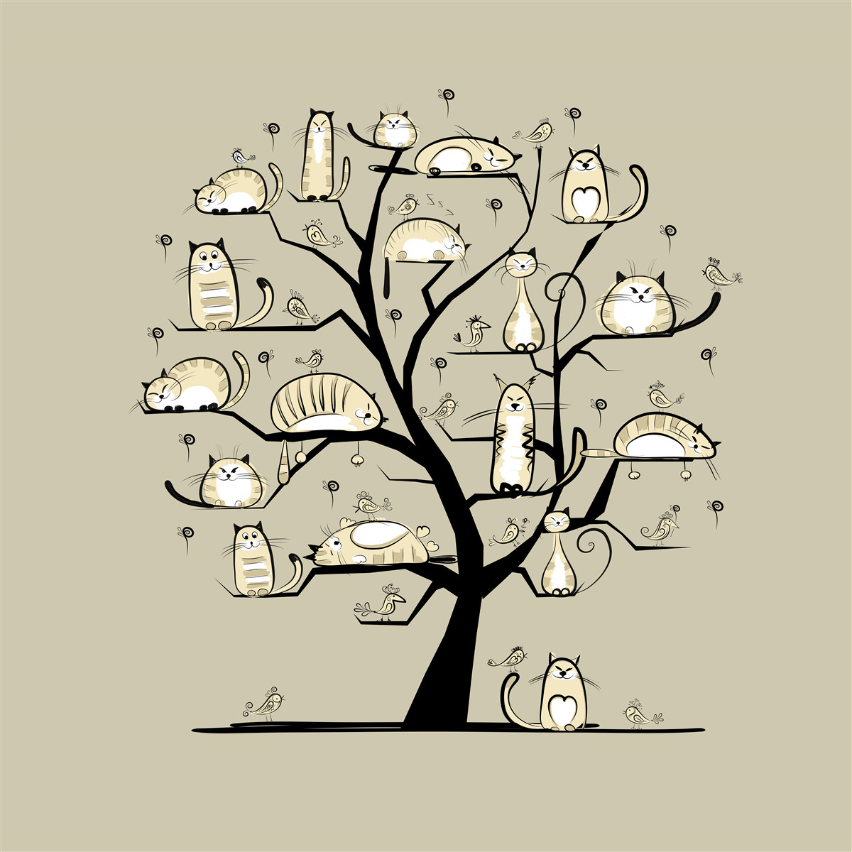 Papier peint chats sur une branche