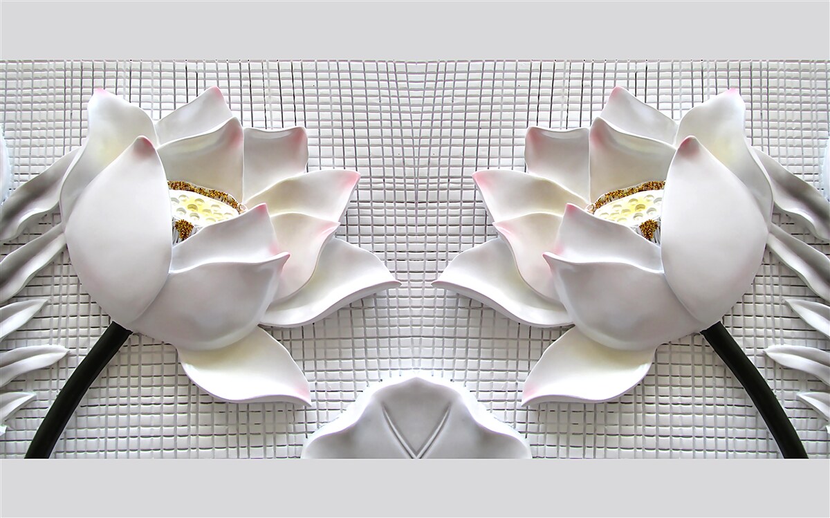 Papier peint boîtes de lotus blanc