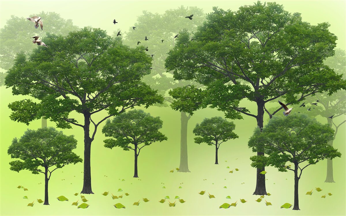 Papier peint forêt matinale couverte de feuilles vertes