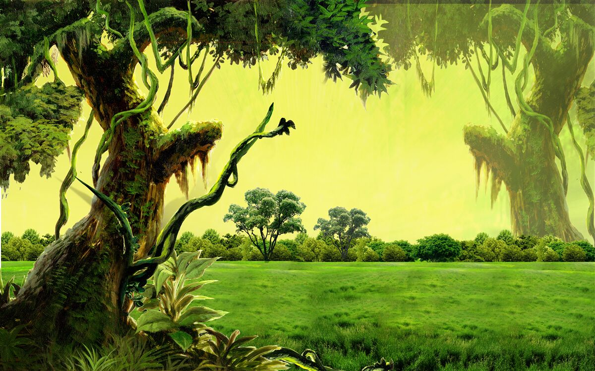 Papier peint une forêt mystérieuse et magique