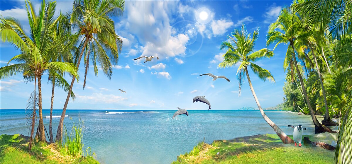 Papier peint dauphins sur un paysage marin