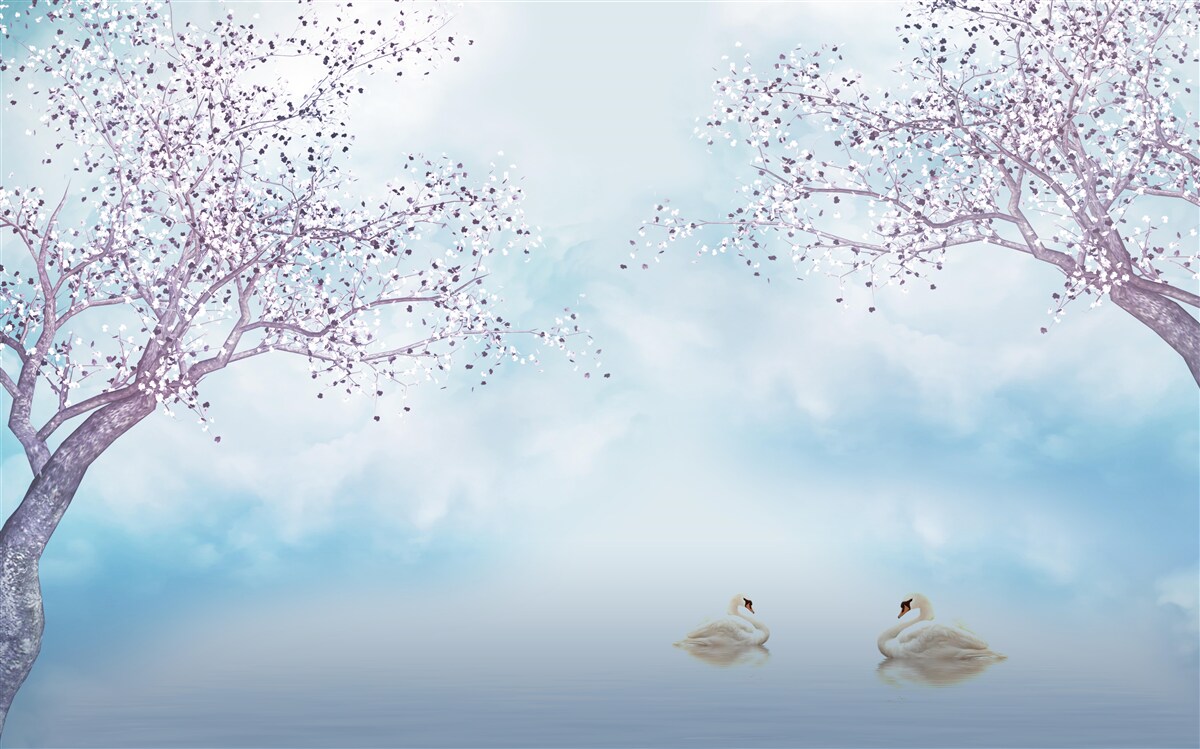 Papier peint avec des cygnes sur un lac sous la brume