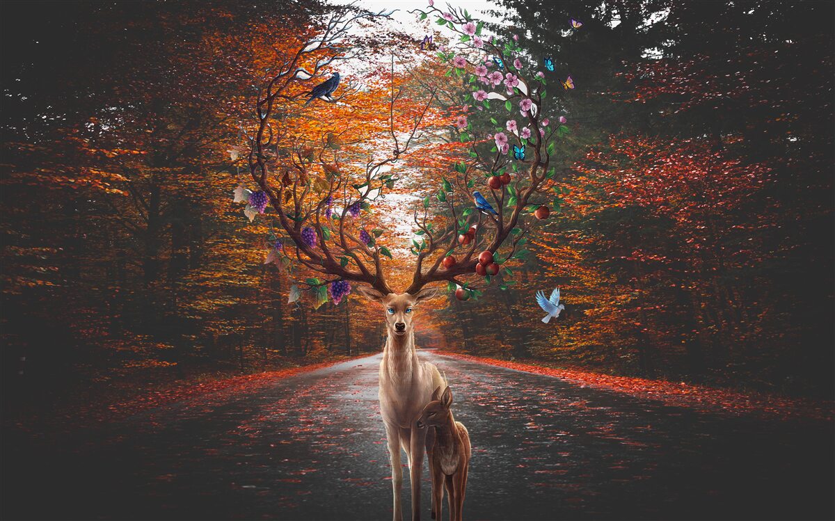 Papier peint période automnale et bois parfaits des cerfs adultes