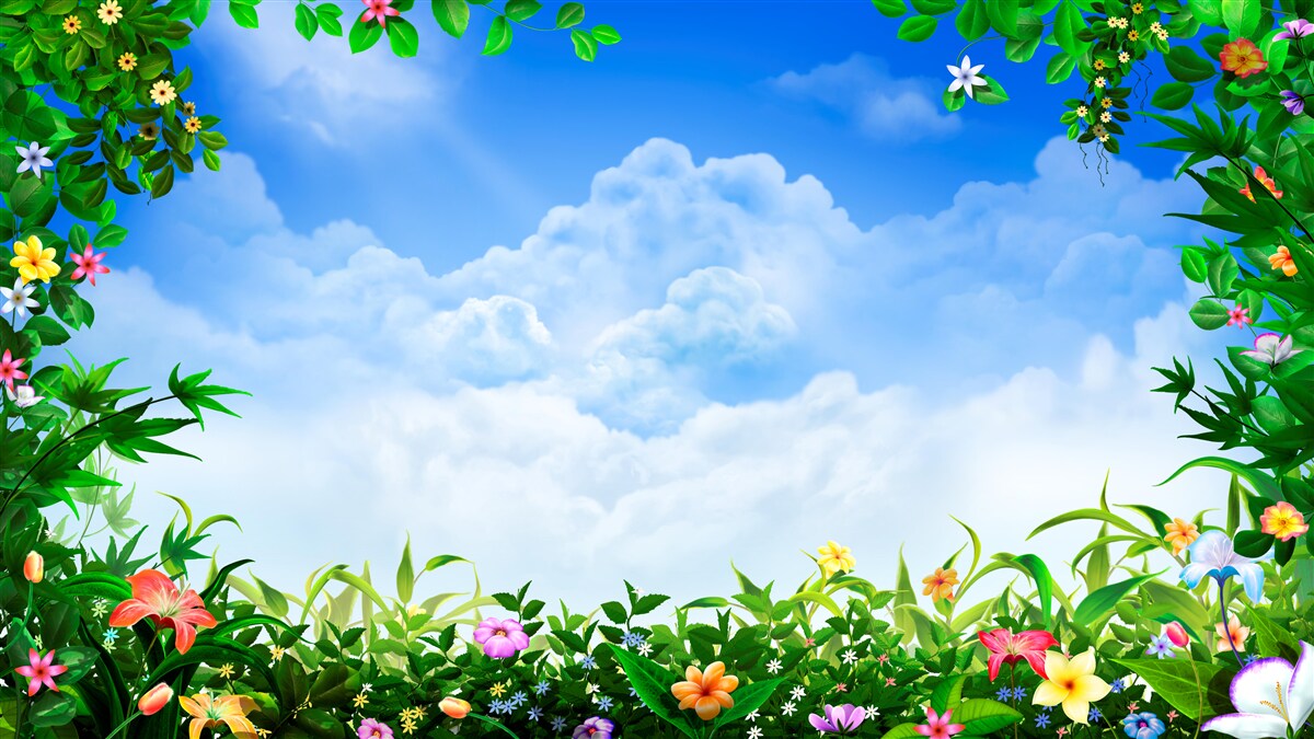 Papier peint les feuilles vertes scintillent sous les nuages bleus